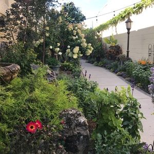 Meet your Posher, Linnea